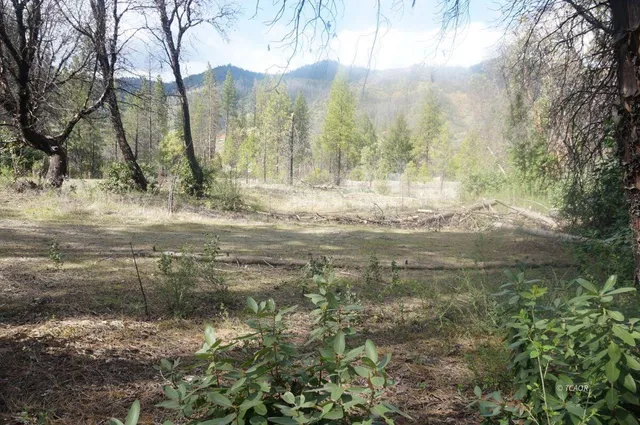 $69,000 | 1600 Lake Road, Junction City, CA 96048