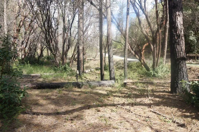 $69,000 | 1600 Lake Road, Junction City, CA 96048