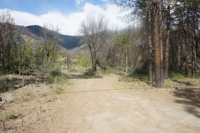 $69,000 | 1600 Lake Road, Junction City, CA 96048