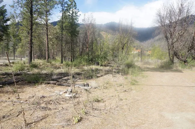 $69,000 | 1600 Lake Road, Junction City, CA 96048