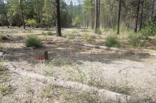 $69,000 | 1600 Lake Road, Junction City, CA 96048