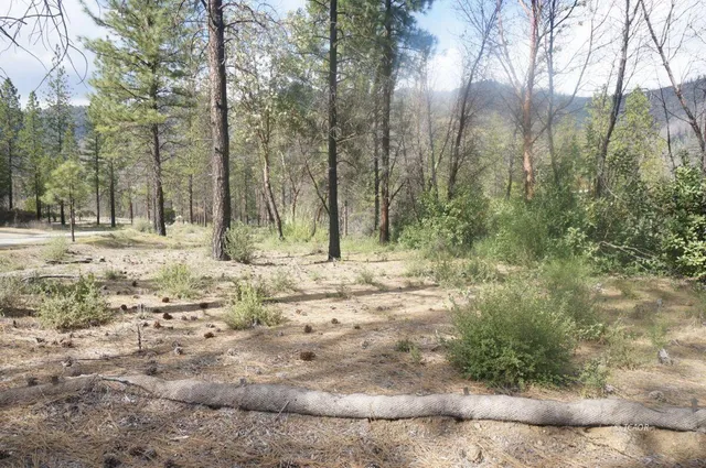 $69,000 | 1600 Lake Road, Junction City, CA 96048