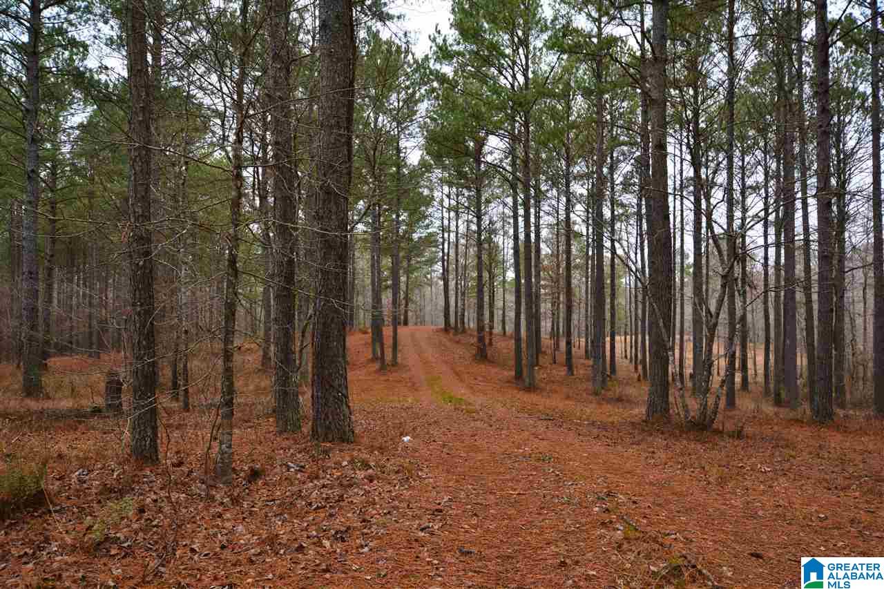 Sycamore Road Columbiana, AL 35051 - Photo 5 of 18