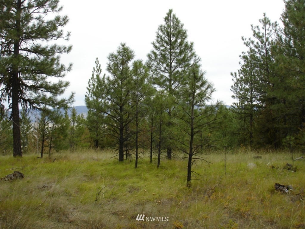 352829-3007 Tedrow Trail Riverside, WA 98849 - Photo 1 of 1 Gallery Image 1