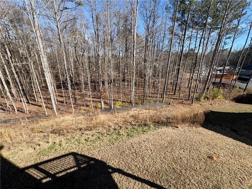 248 Webster Lake Drive Temple, GA 30179 - Photo 28 of 29