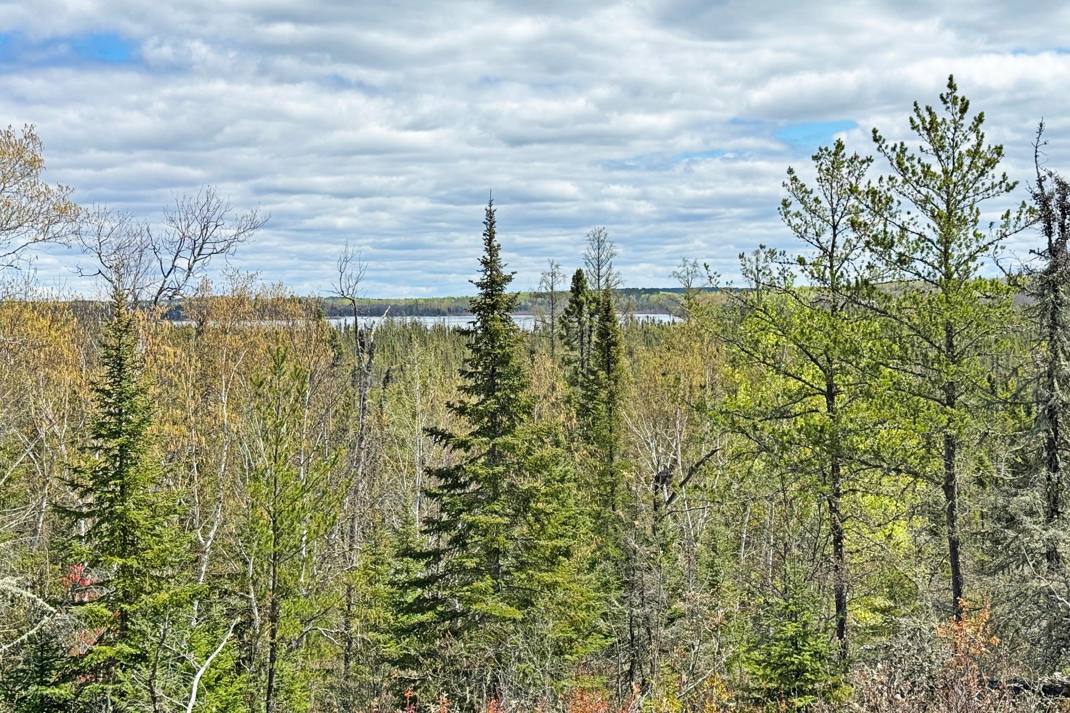 0 Fectos Road Tower, MN 55790 - Photo 41 of 54