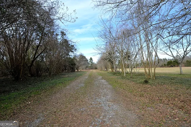 a backyard of a house with lots of green space