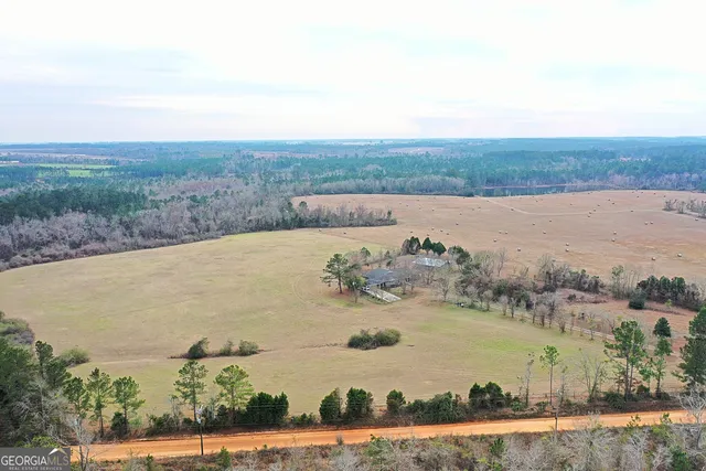 an aerial view of lake and trees