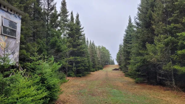 $139,500 | Tbd Tbd Timber Wolf Trail Pine River Southwest, Pine River, MN 56474