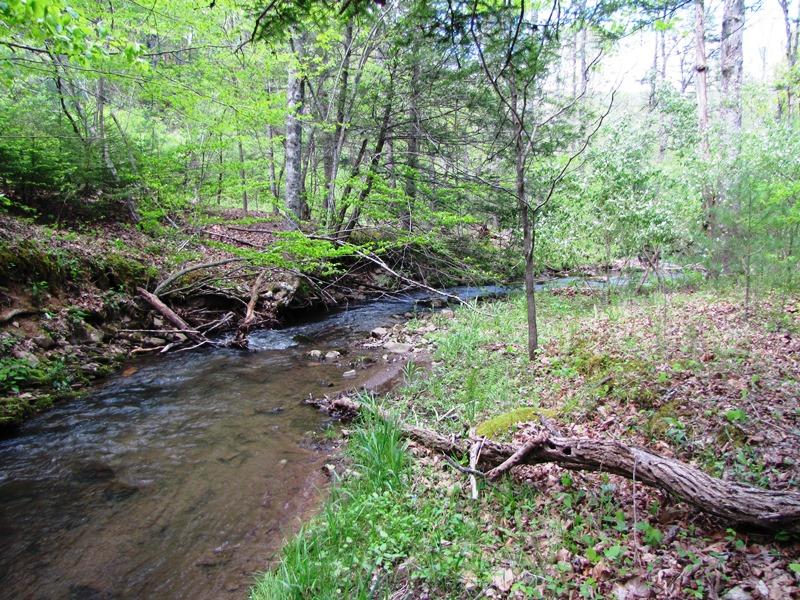 329 Trout Run Road Waiteville, WV 24984 - Photo 80 of 91 Gallery Image 80