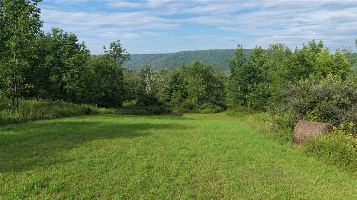 30 State Route Gilboa, NY 12076 - Photo 21 of 41 Gallery Image 21
