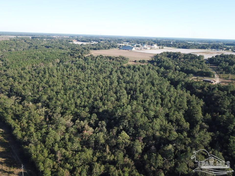85-acres Wiley Scott Road Jay, FL 32565 - Photo 5 of 9