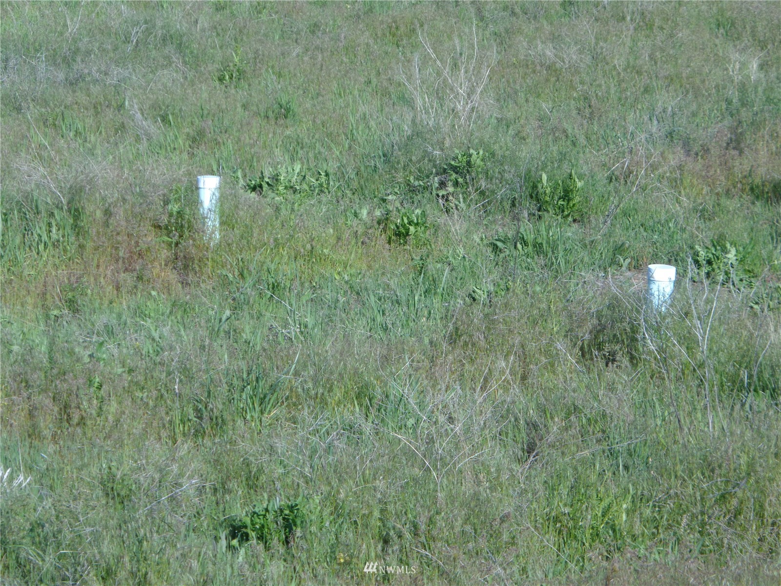 33 Epley Road Omak, WA 98841 - Photo 7 of 13 a view of a bunch of trees and bushes
