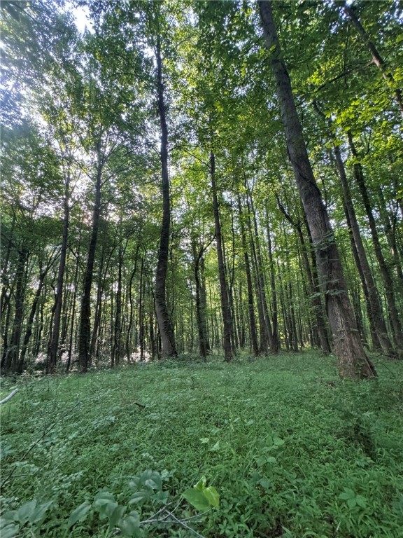 1 Old Mill Road Easley, SC 29642 - Photo 1 of 12
