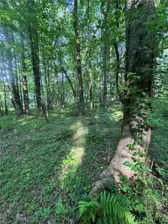 1 Old Mill Road Easley, SC 29642 - Photo 11 of 12