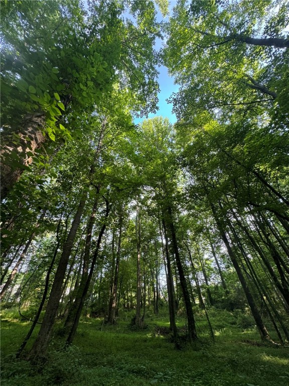 1 Old Mill Road Easley, SC 29642 - Photo 12 of 12