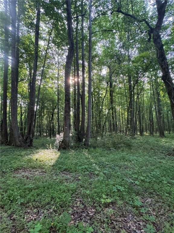 1 Old Mill Road Easley, SC 29642 - Photo 2 of 12