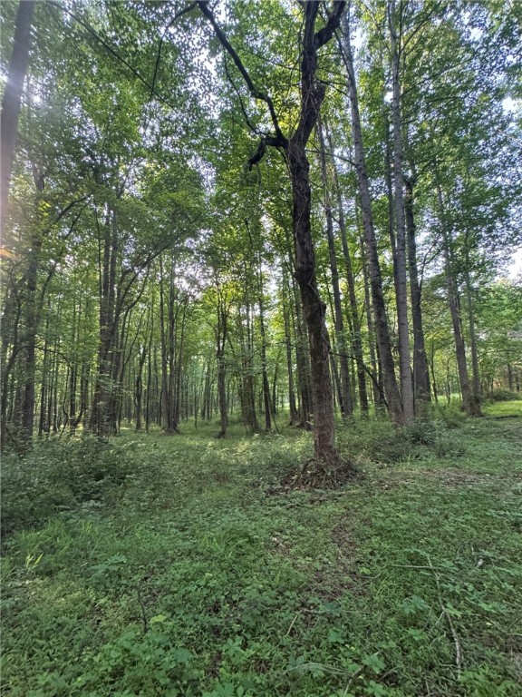 1 Old Mill Road Easley, SC 29642 - Photo 3 of 12