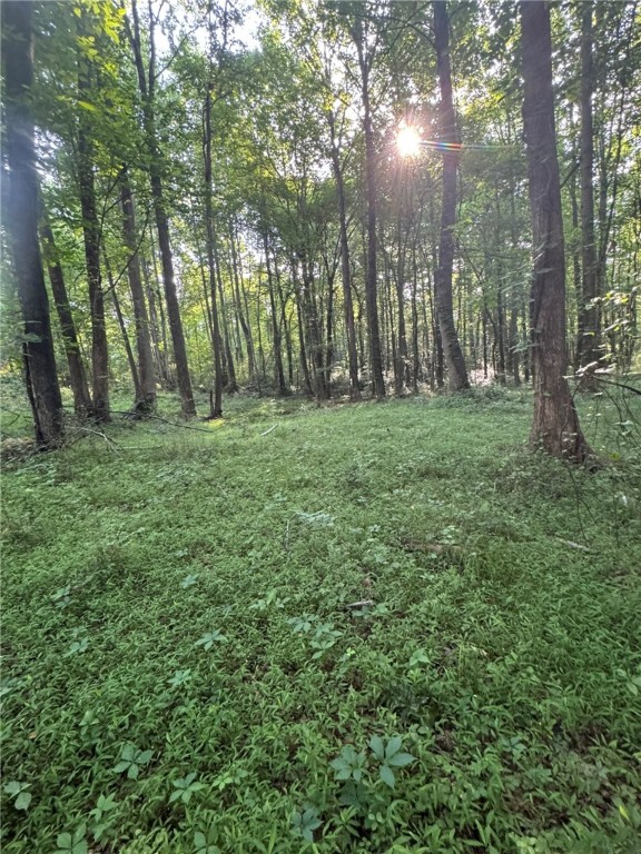 1 Old Mill Road Easley, SC 29642 - Photo 5 of 12