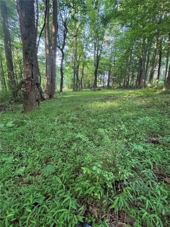 1 Old Mill Road Easley, SC 29642 - Photo 6 of 12