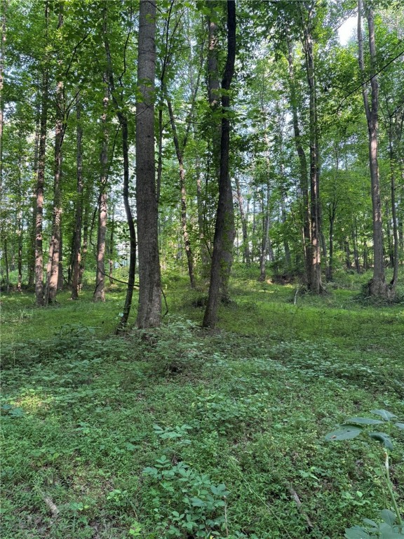 1 Old Mill Road Easley, SC 29642 - Photo 8 of 12