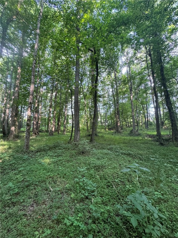 1 Old Mill Road Easley, SC 29642 - Photo 9 of 12