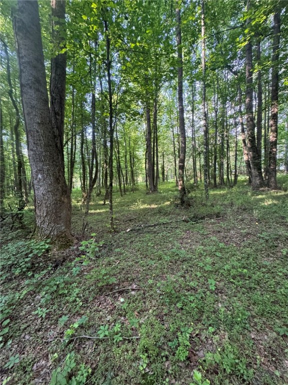 1 Old Mill Road Easley, SC 29642 - Photo 10 of 12