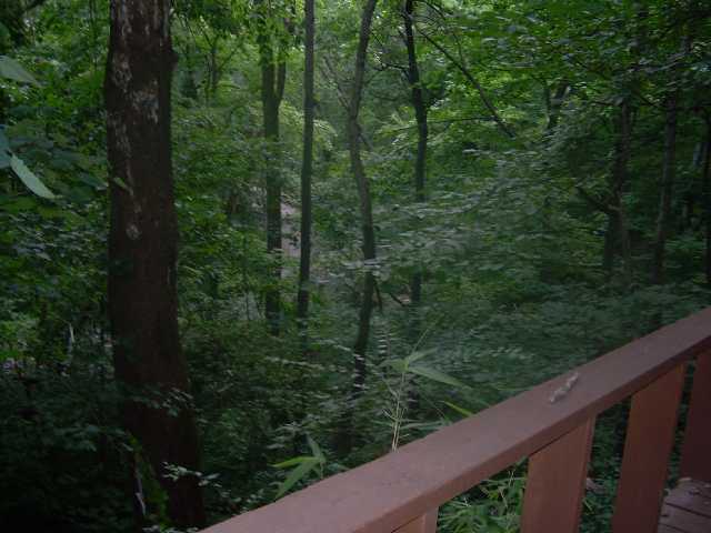 420 Walhalla Road Columbus, OH 43202 - Photo 11 of 11