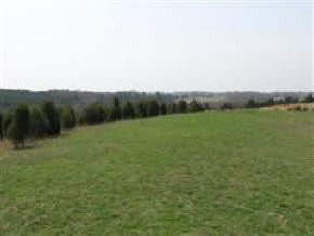 0 Porter Kite Road, Unit 6 Bulls Gap, TN 37711 - Photo 1 of 1 Photo 1