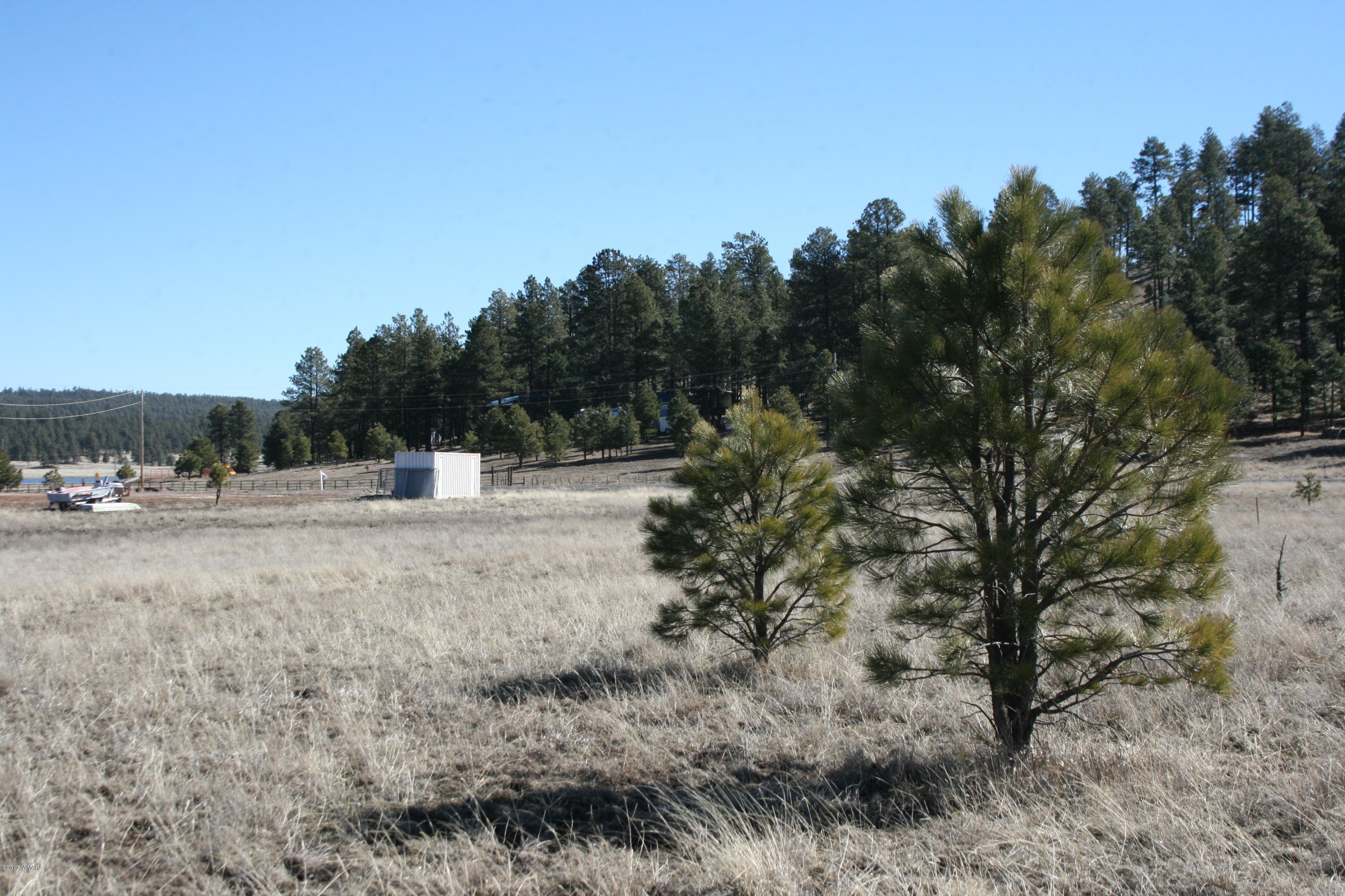 46 Co Road Alpine, AZ 85920 - Photo 2 of 6