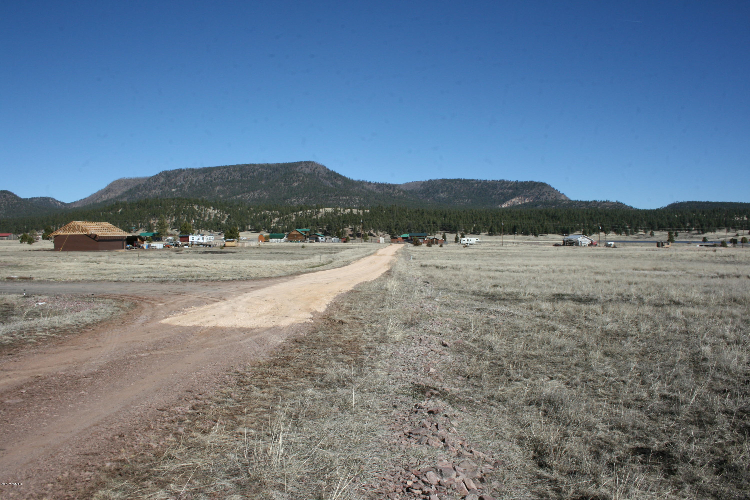 46 Co Road Alpine, AZ 85920 - Photo 4 of 6