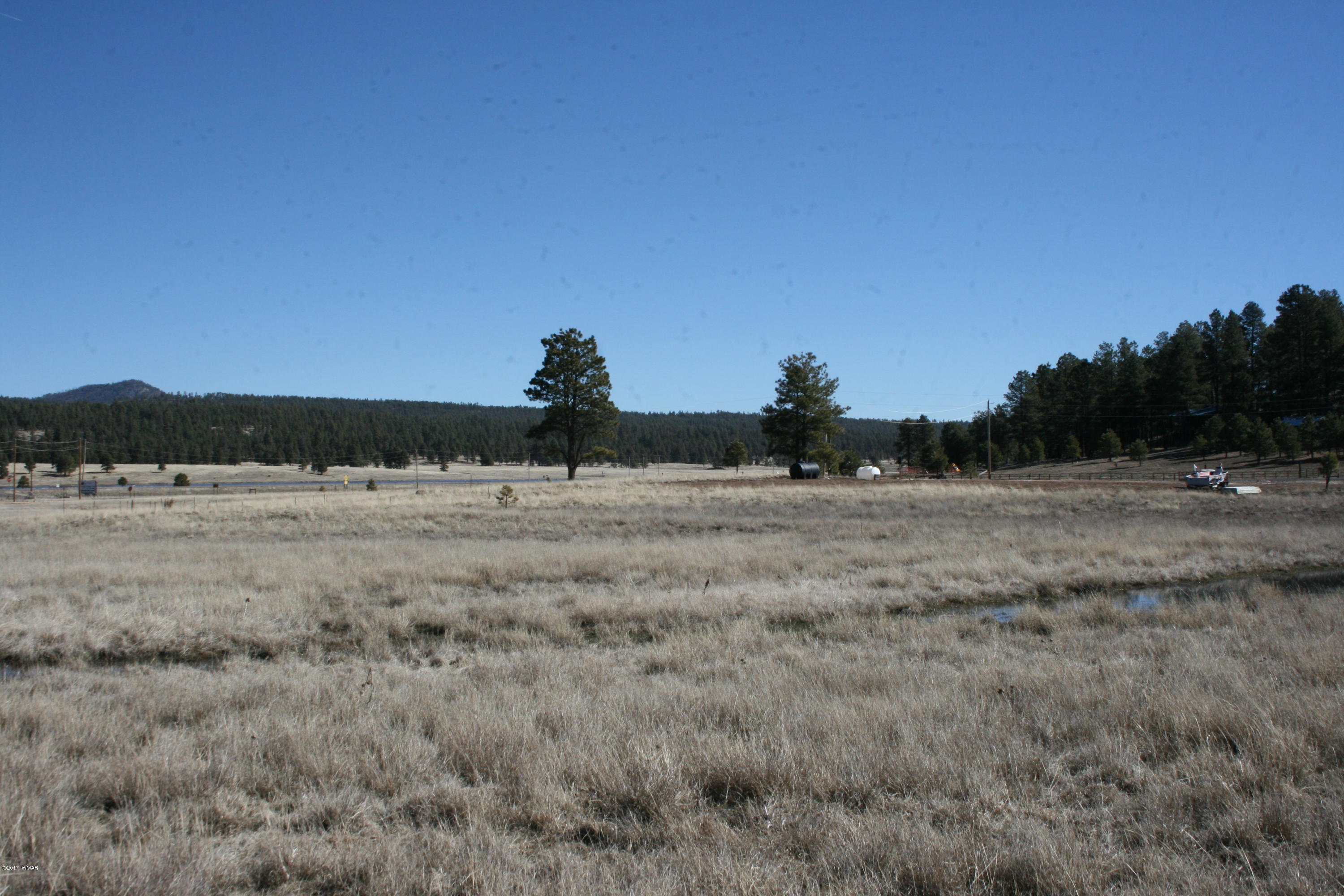 46 Co Road Alpine, AZ 85920 - Photo 5 of 6