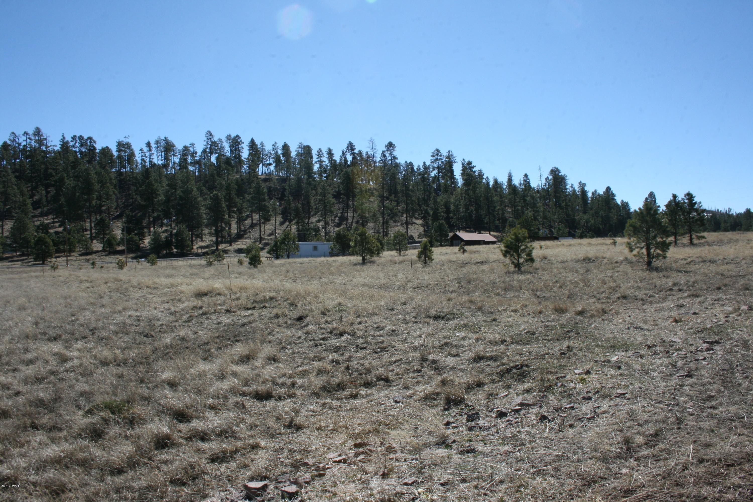 46 Co Road Alpine, AZ 85920 - Photo 6 of 6