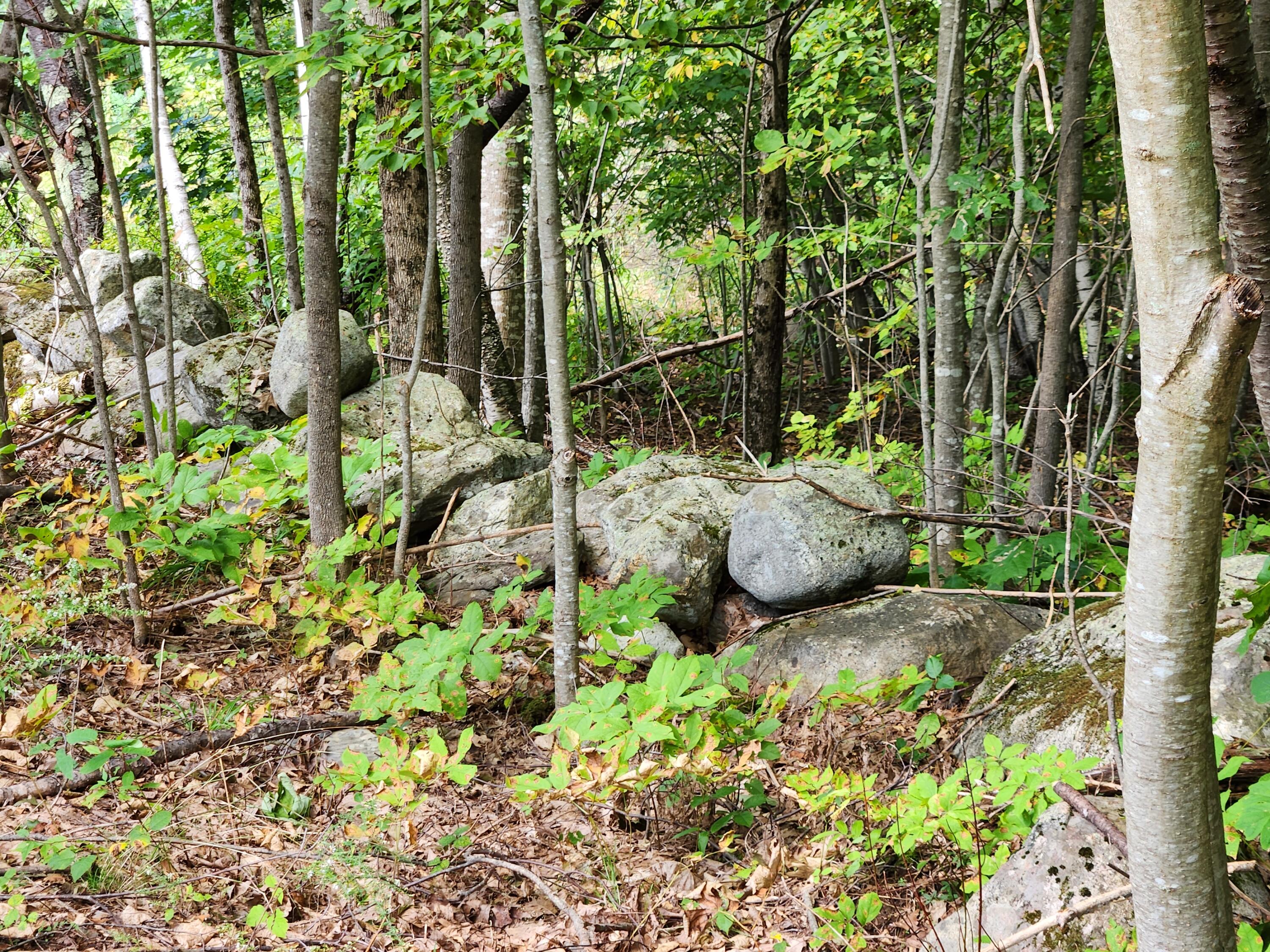 0 Whitefield Road Pittston, ME 04345 - Photo 3 of 6 Pic 5
