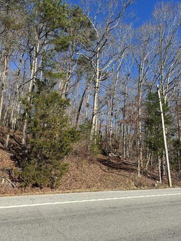 3 Northwest Lower River Road Charleston, TN 37310 - Photo 1 of 5 Gallery Image 1