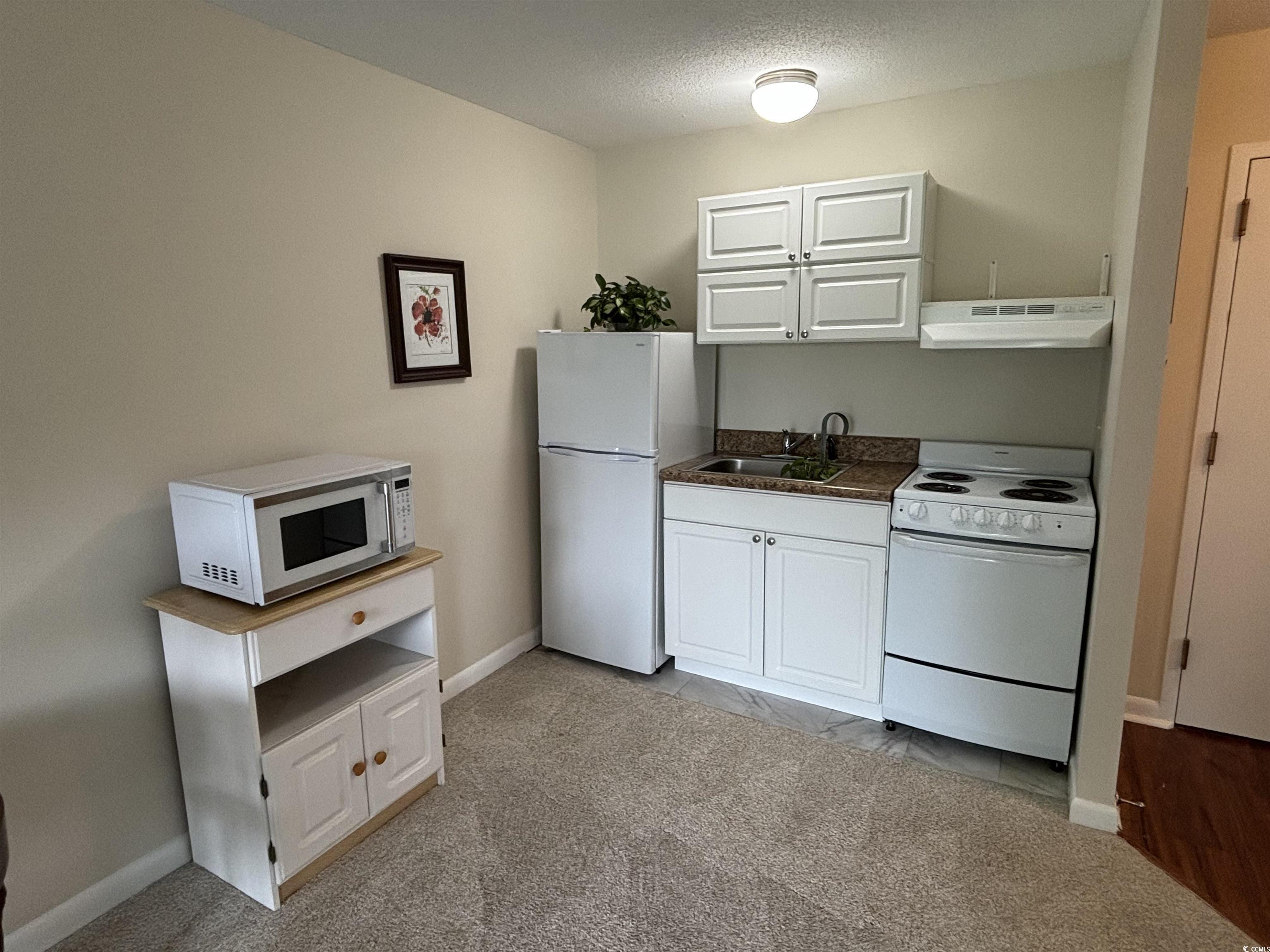 5001 Little River Road, Unit E417 Myrtle Beach, SC 29577 - Photo 6 of 25 Gallery Image 6