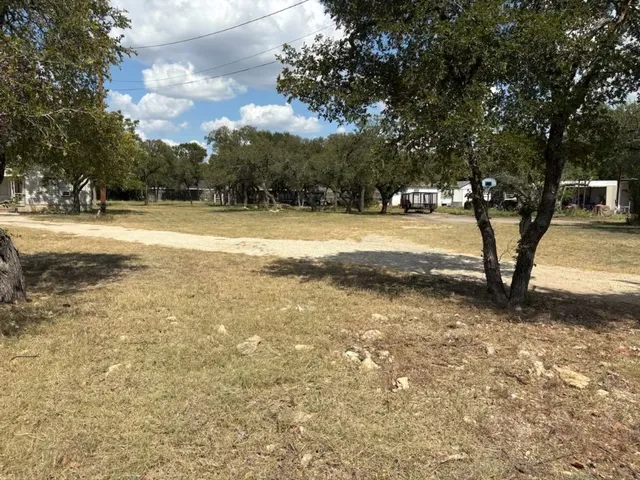 a view of yard with trees