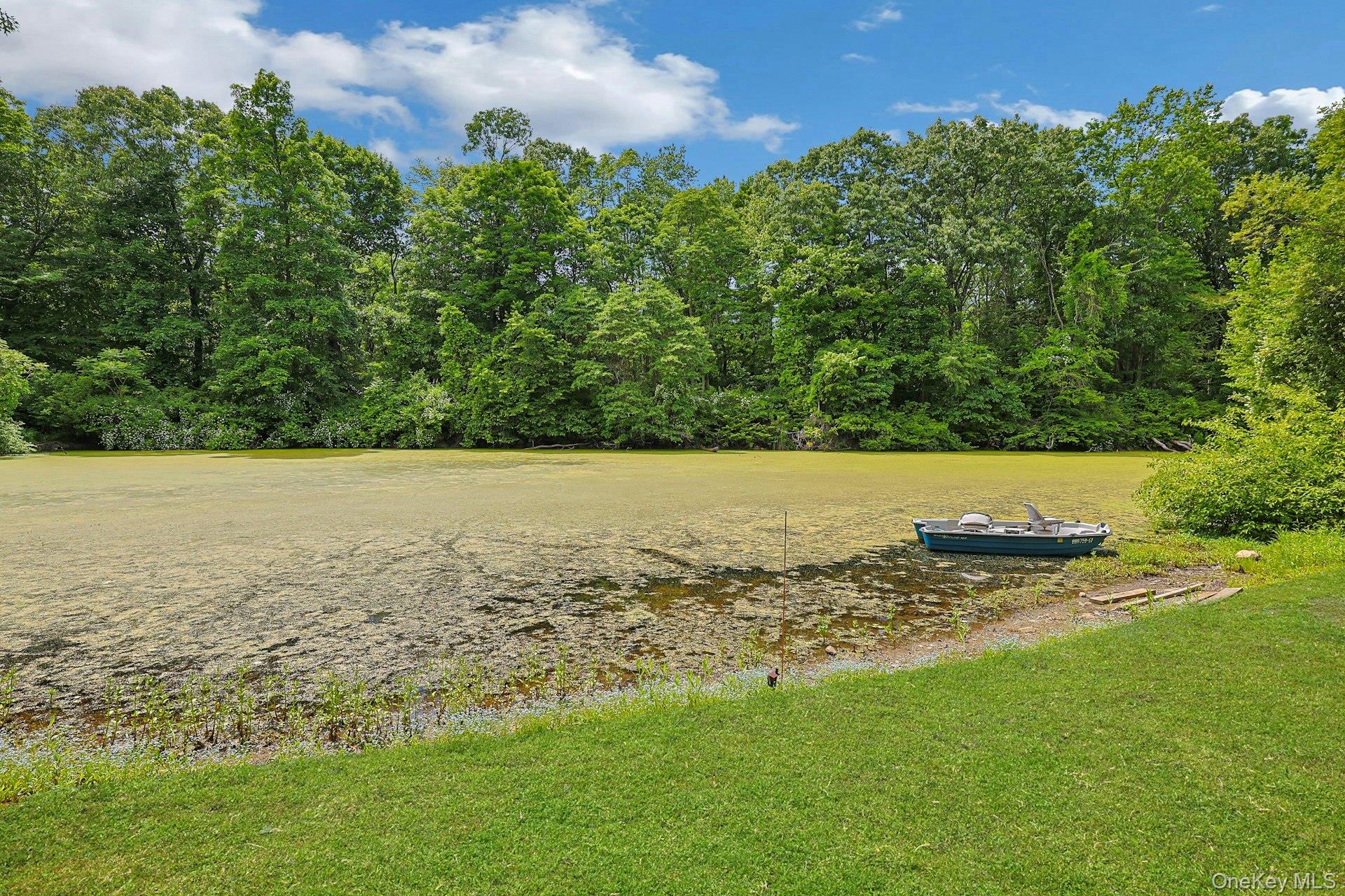 3 Meadow Park Road Baldwin Place, NY 10505 - Photo 33 of 36 Boat not included