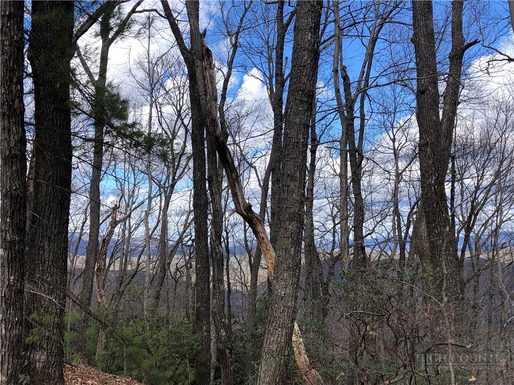 Lot 21 Bobcat Mountain Road Purlear, NC 28665 - Photo 15 of 46 a view of tree in between the side of a house
