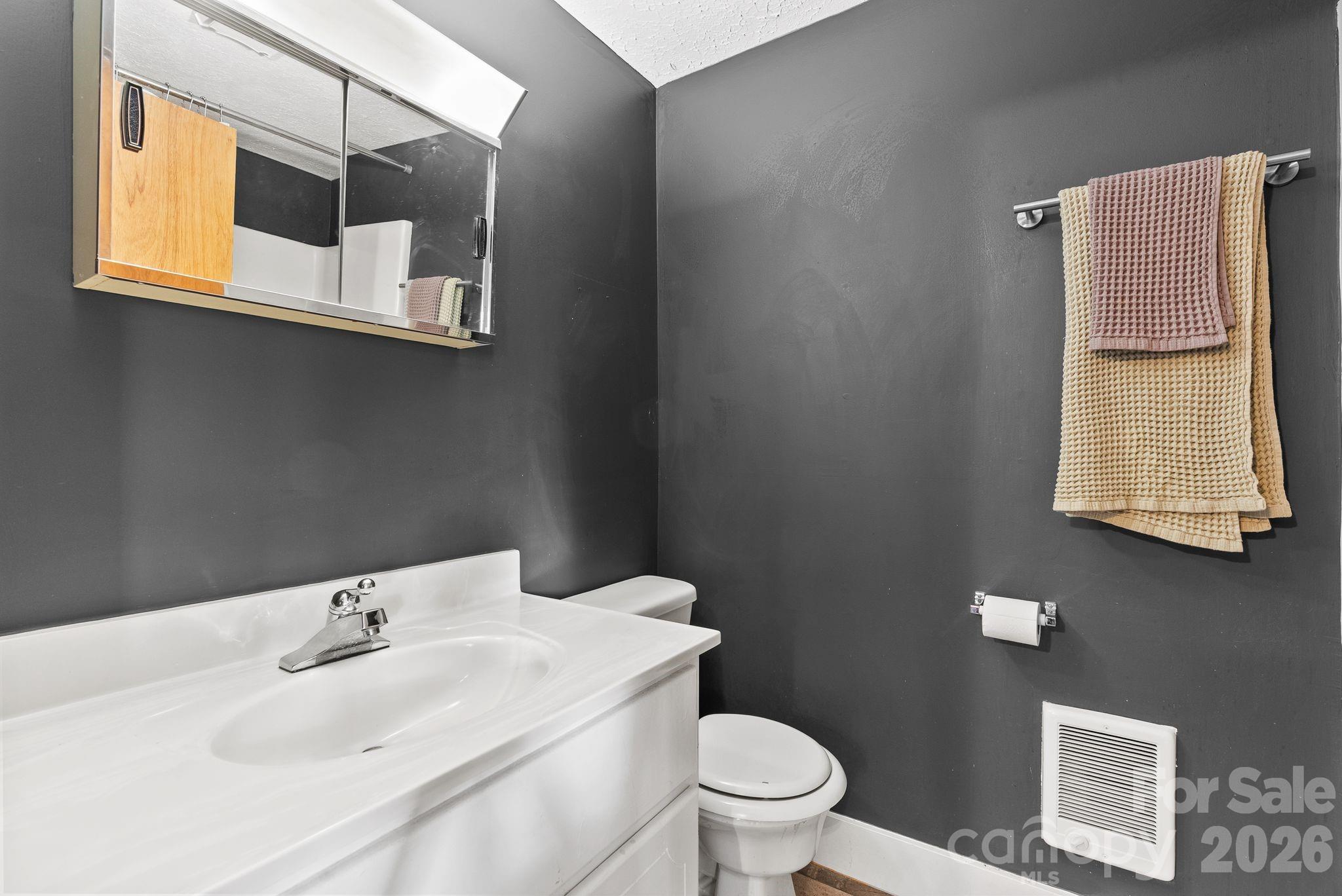 271 Pisgah View Road Asheville, NC 28806 - Photo 17 of 40 a bathroom with a sink and a toilet