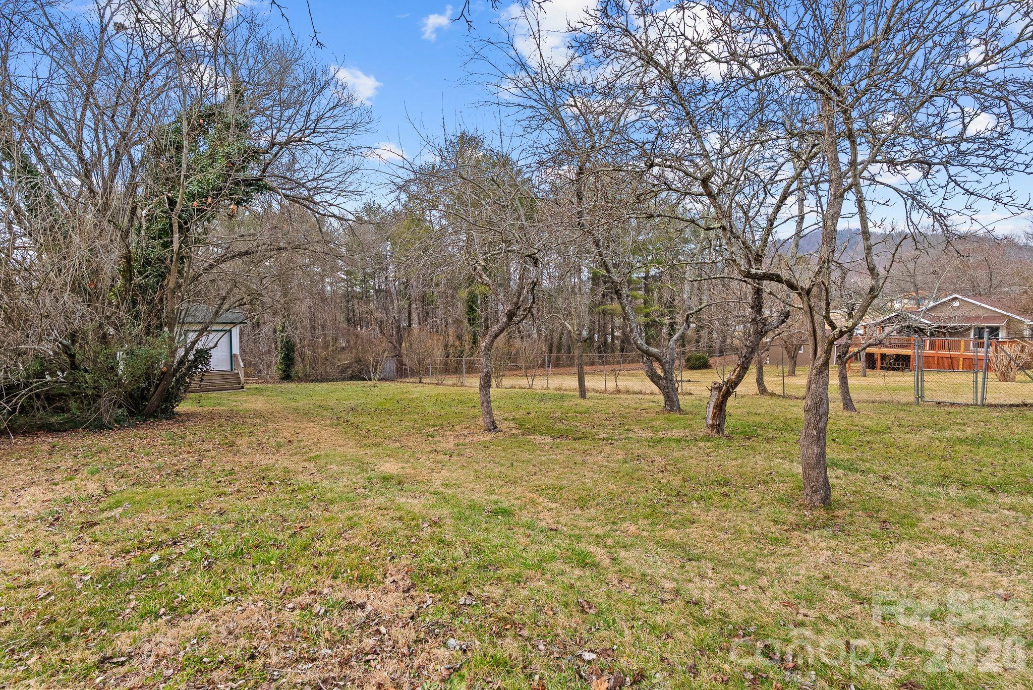 271 Pisgah View Road Asheville, NC 28806 - Photo 23 of 40 a view of a yard with a tree