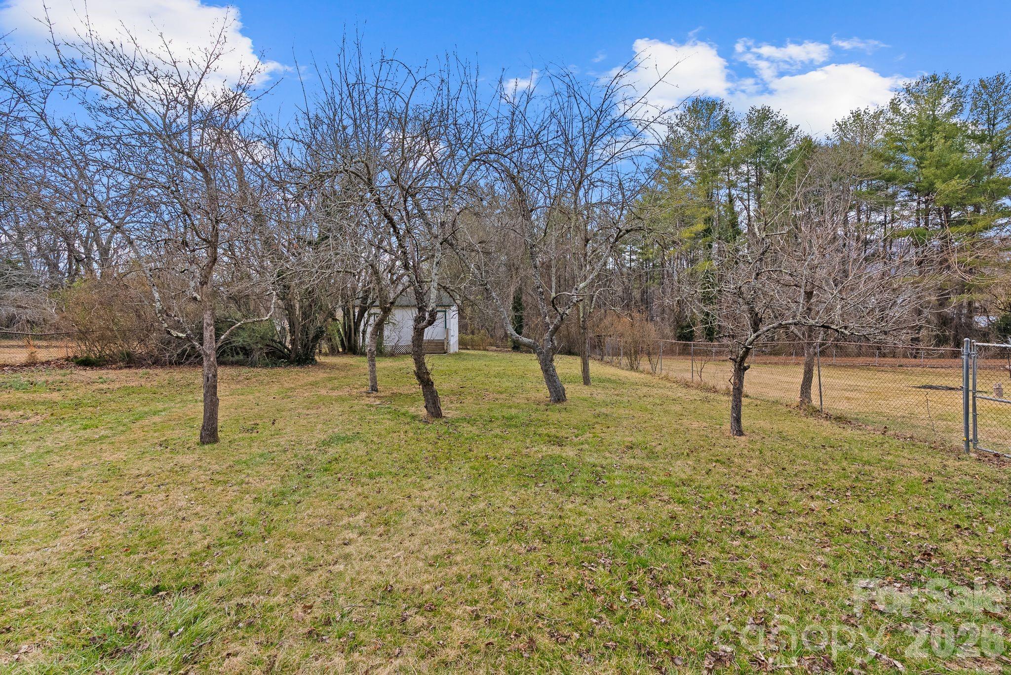 271 Pisgah View Road Asheville, NC 28806 - Photo 31 of 40 a view of a yard in the forest