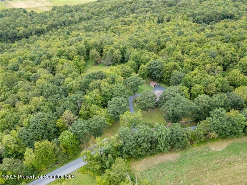 1777 Highway 2002 Nicholson, PA 18446 - Photo 50 of 52 a view of a lush green forest with lawn chairs and plants