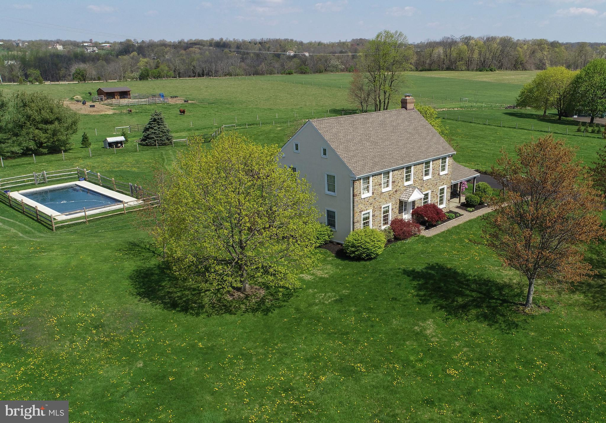 280 King Road Doylestown, PA 18901 - Photo 8 of 50 Cows in the back are on the property