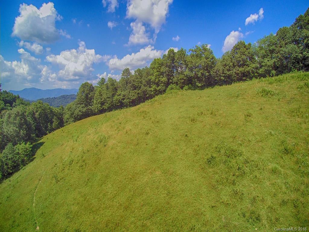 1290 Rabbit Skin Road Waynesville, NC 28785 - Photo 28 of 42 Gallery Image 28