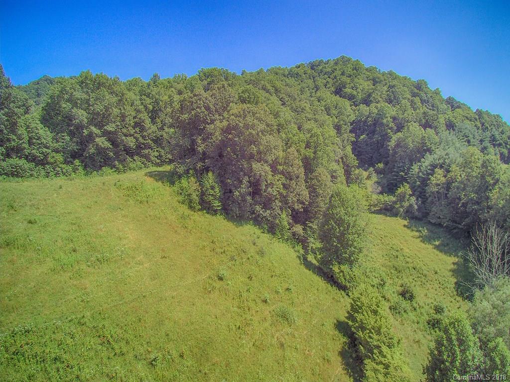 1290 Rabbit Skin Road Waynesville, NC 28785 - Photo 30 of 42 Gallery Image 30