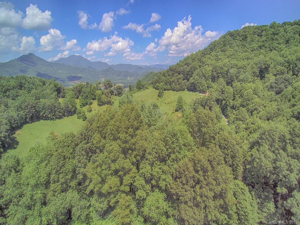 1290 Rabbit Skin Road Waynesville, NC 28785 - Photo 32 of 42 Gallery Image 32