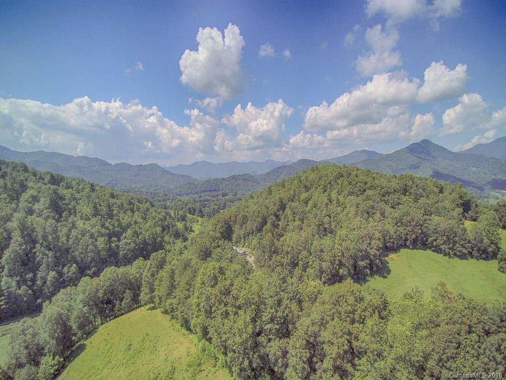1290 Rabbit Skin Road Waynesville, NC 28785 - Photo 33 of 42 Gallery Image 33