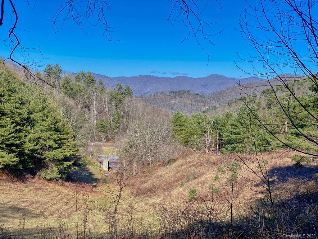 1290 Rabbit Skin Road Waynesville, NC 28785 - Photo 36 of 42 Gallery Image 36