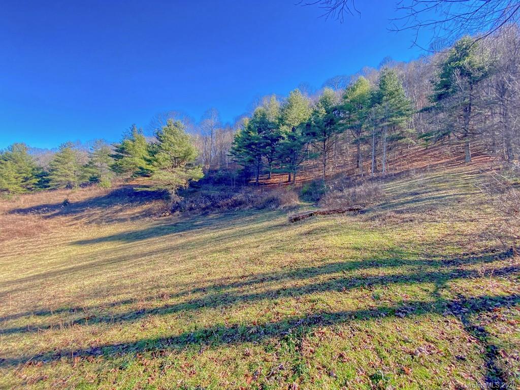 1290 Rabbit Skin Road Waynesville, NC 28785 - Photo 37 of 42 Gallery Image 37